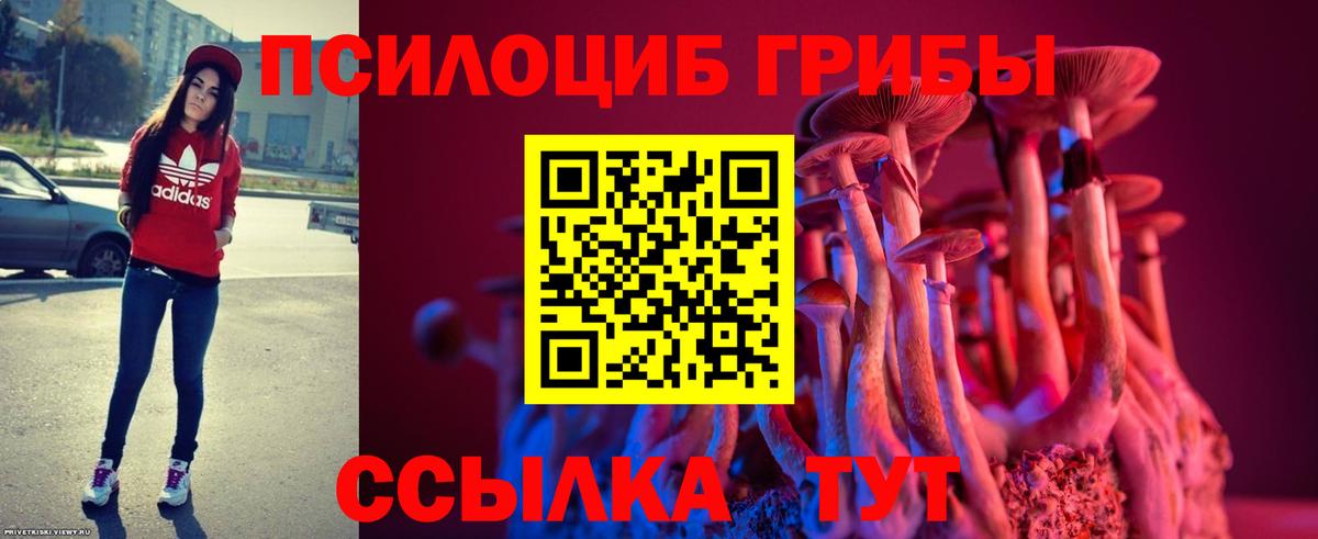 Белорецк  Галлюциногенные грибы ЛСД  Вход с VPN 